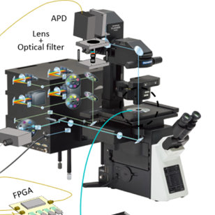 ダイヤモンドで量子計測