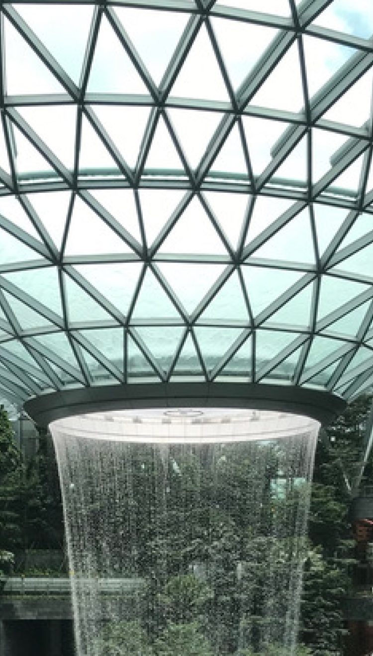 Fusing Science, Technology, and Artistic Expression:  Creating value in a new society.