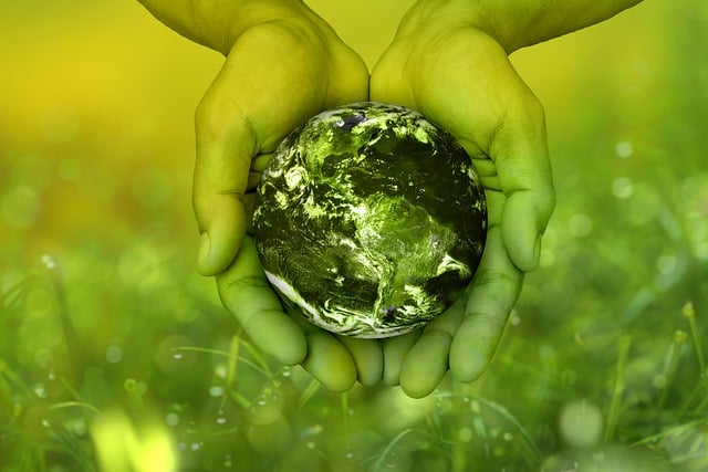 Creative Interspecies Conversations: Art and Ecological Thinking